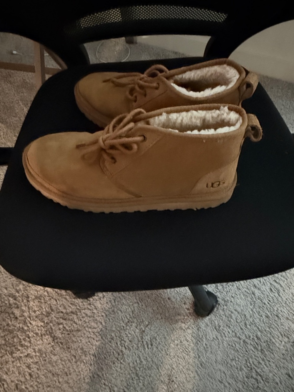 UGG Chestnut Lace-Up Suede Fleece Ankle Boots